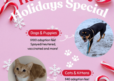 Home for the Holidays Adoption Special!