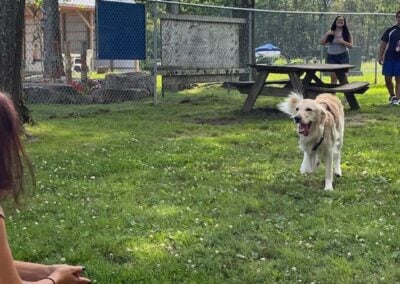 How Dogs Can Beat the Dog Days of Summer