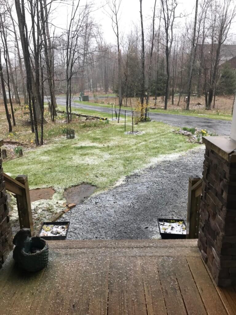 Hail in April at DCL