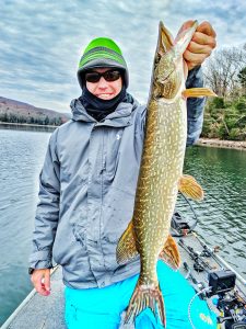Jon Theros 30inch walleye caught in Deep Creek Lake - December 2017