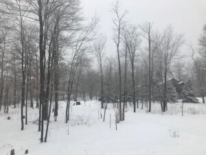mike driveway 1-25-21
