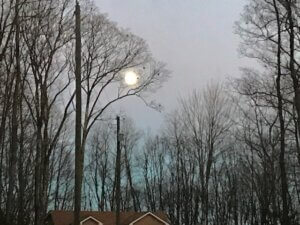 full moon 11-29-20 dot sissler