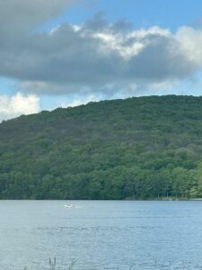 Deep Creek Lake - Worm Damage - By Sarah Myers