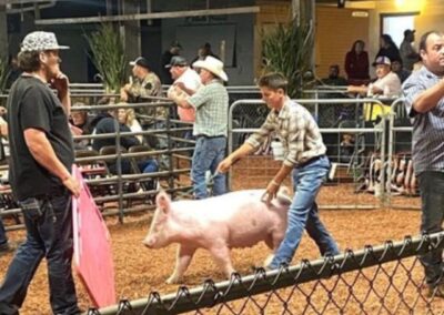 Impressive Garrett County Livestock Sale