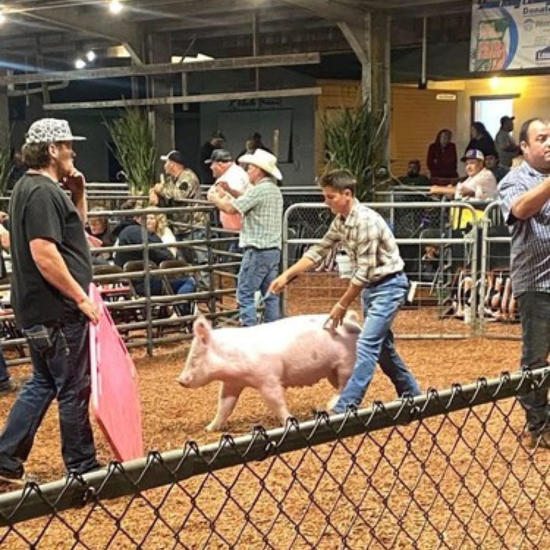 Impressive Garrett County Livestock Sale