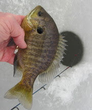 Introduction to Ice Fishing