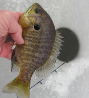 Introduction to Ice Safety and Ice Fishing