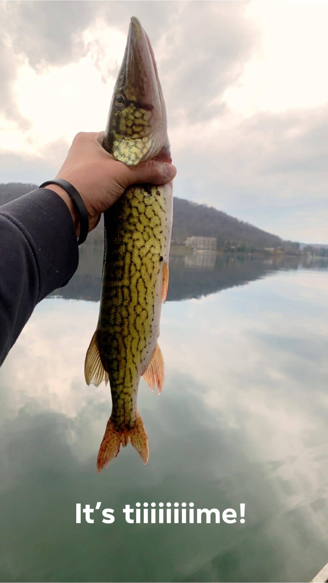 Fish Catch in Deep Creek Lake, MD by JD Eddy