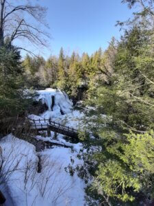swallow falls karen dewitt 3-7-21