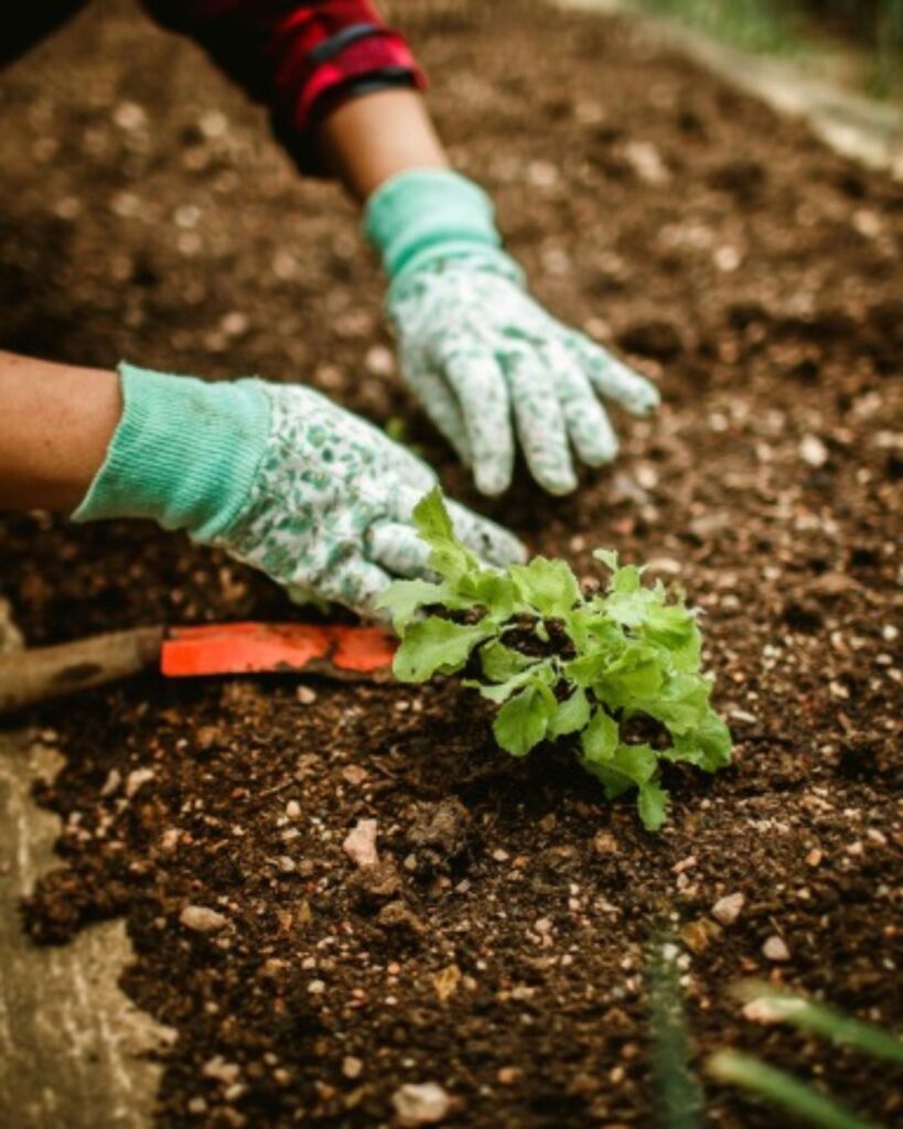 Kids Gardening Workshop