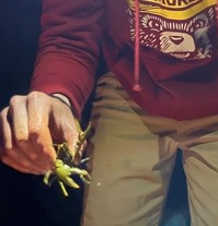 Late Night Crayfish Crawl at Deep Creek Lake, MD