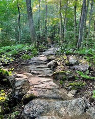 Leaf Peeping on Lonacona Loop (Deep Creek Lake, MD)