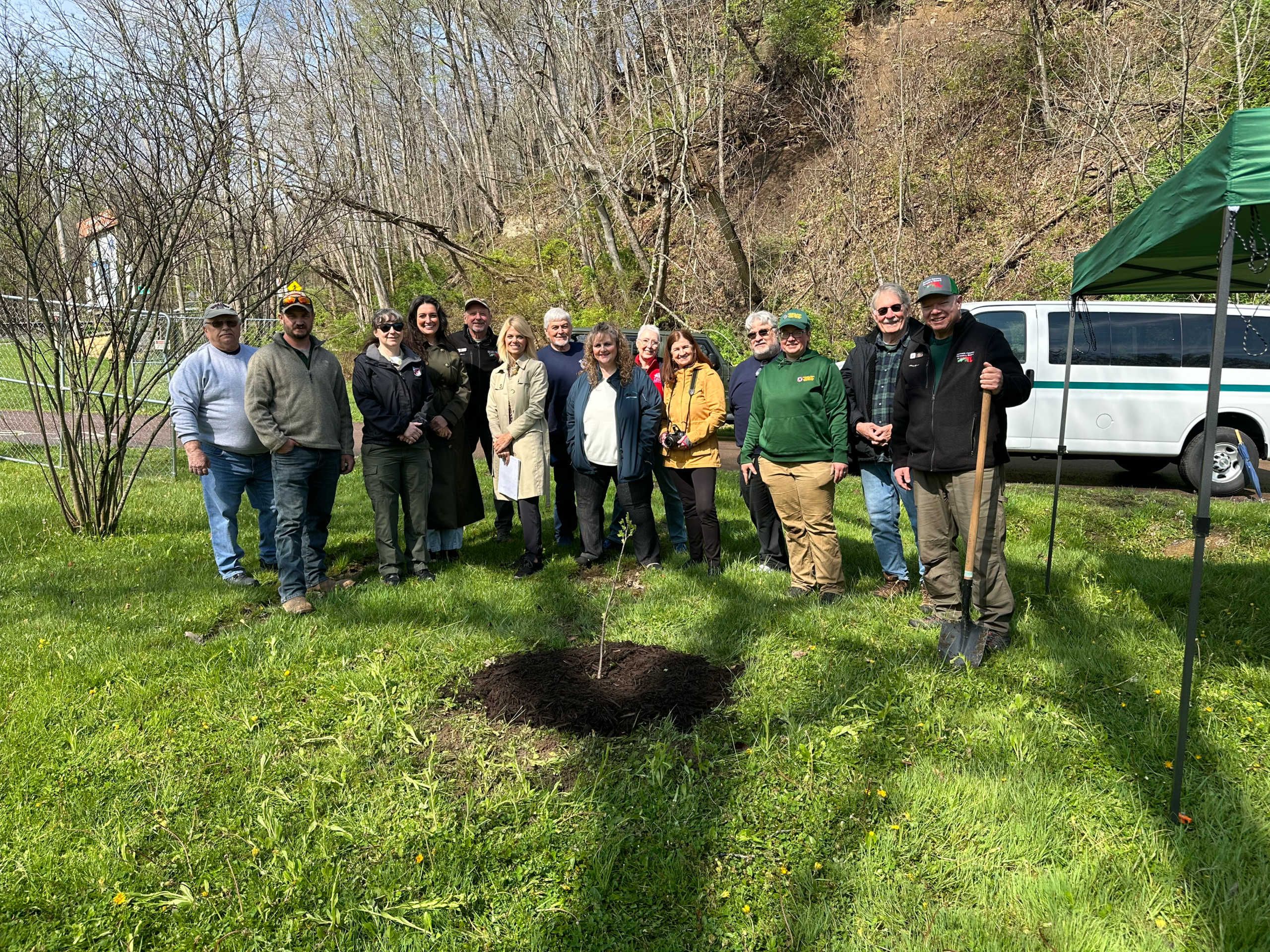 Liberty Tree Planting