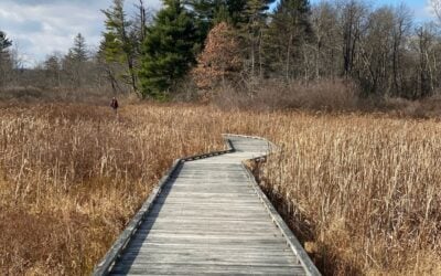 Loch Lynn Heights: Home To Fully ADA Compatible Playground