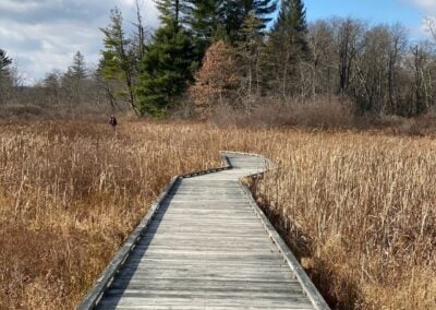 Loch Lynn Heights: Home To Fully ADA Compatible Playground