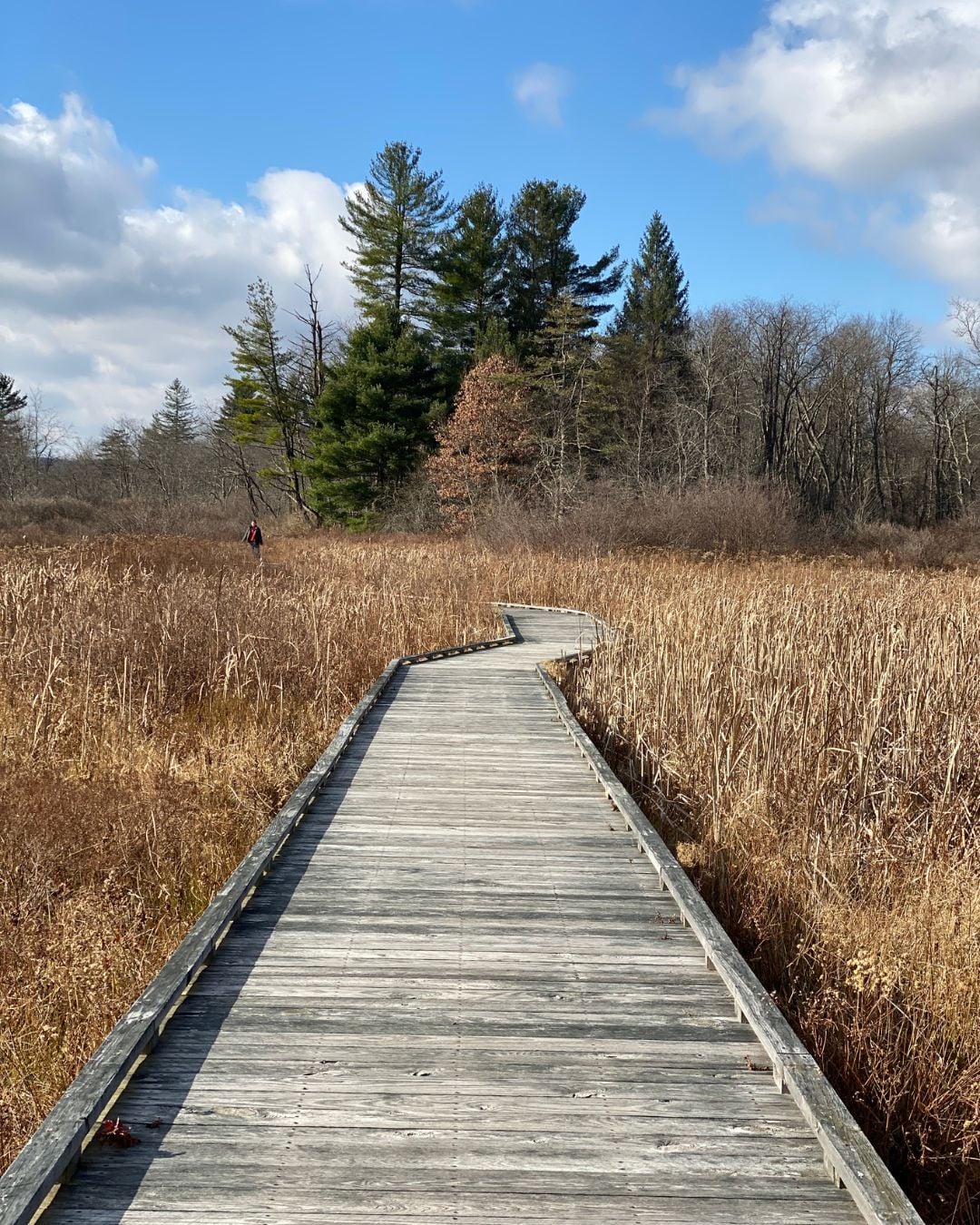 Loch Lynn Heights Home To Fully ADA Compatible Playground