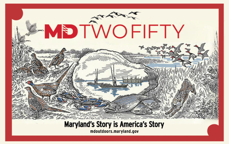 MD250-License-Card-768×484