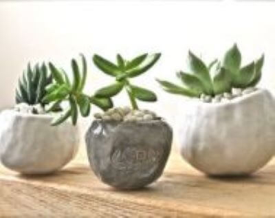 Make a Ceramic Succulent Pot at Deep Creek Lake, MD