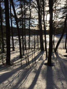 Sun casting shadows through the trees at Deep Creek Lake, MD
