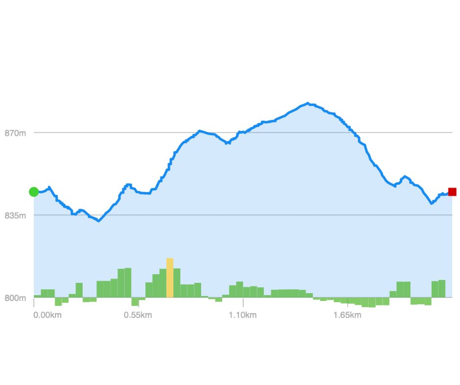 Elevation Profile - Central Loop (Margraff)