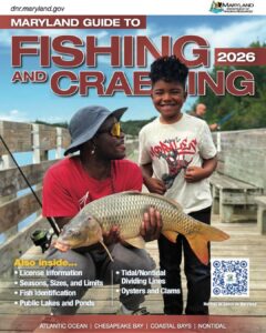 Maryland Guide to Fishing and Crabbing 2026