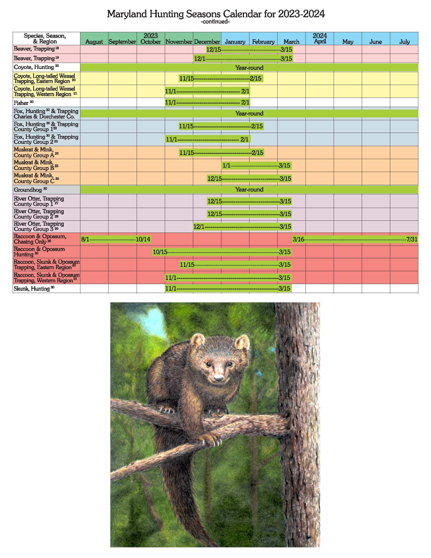 Maryland Hunting Seasons Calendar for 2023 2024 2 Deep Creek Times