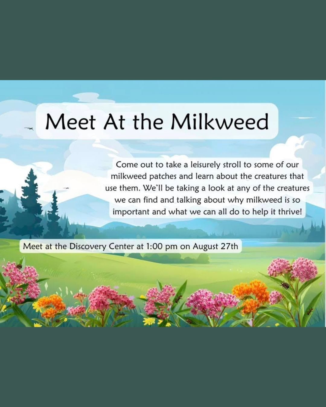 Meet at the Milkweed