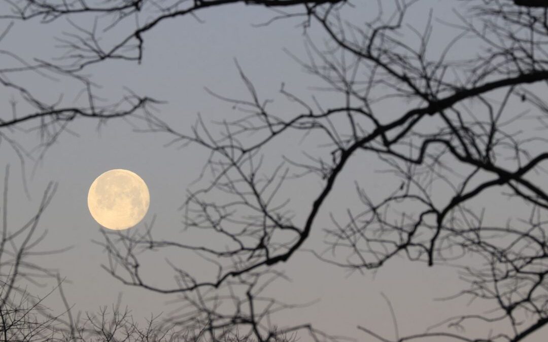 Moon Mythology and Maryland Wildlife: Winter Moons