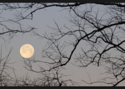 Moon Mythology and Maryland Wildlife: Winter Moons