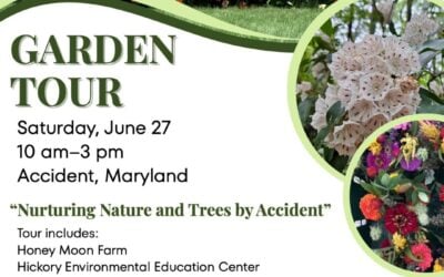 Nurturing Nature and Trees by Accident: Mountain Laurel Garden Club Announces 2026 Garden Tour