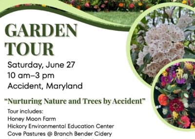 Nurturing Nature and Trees by Accident: Mountain Laurel Garden Club Announces 2026 Garden Tour