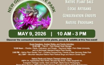 Mountain Maryland Native Plant Festival