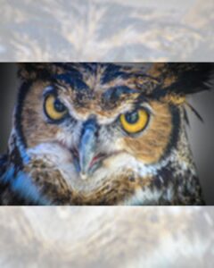 Nature Trivia Night