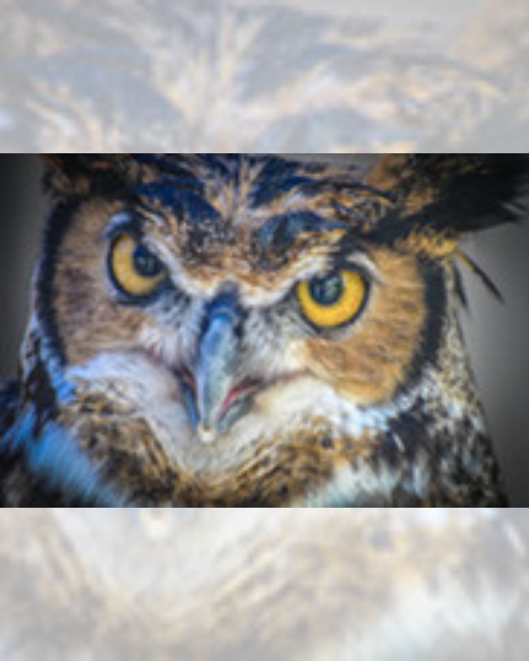 Nature Trivia Night