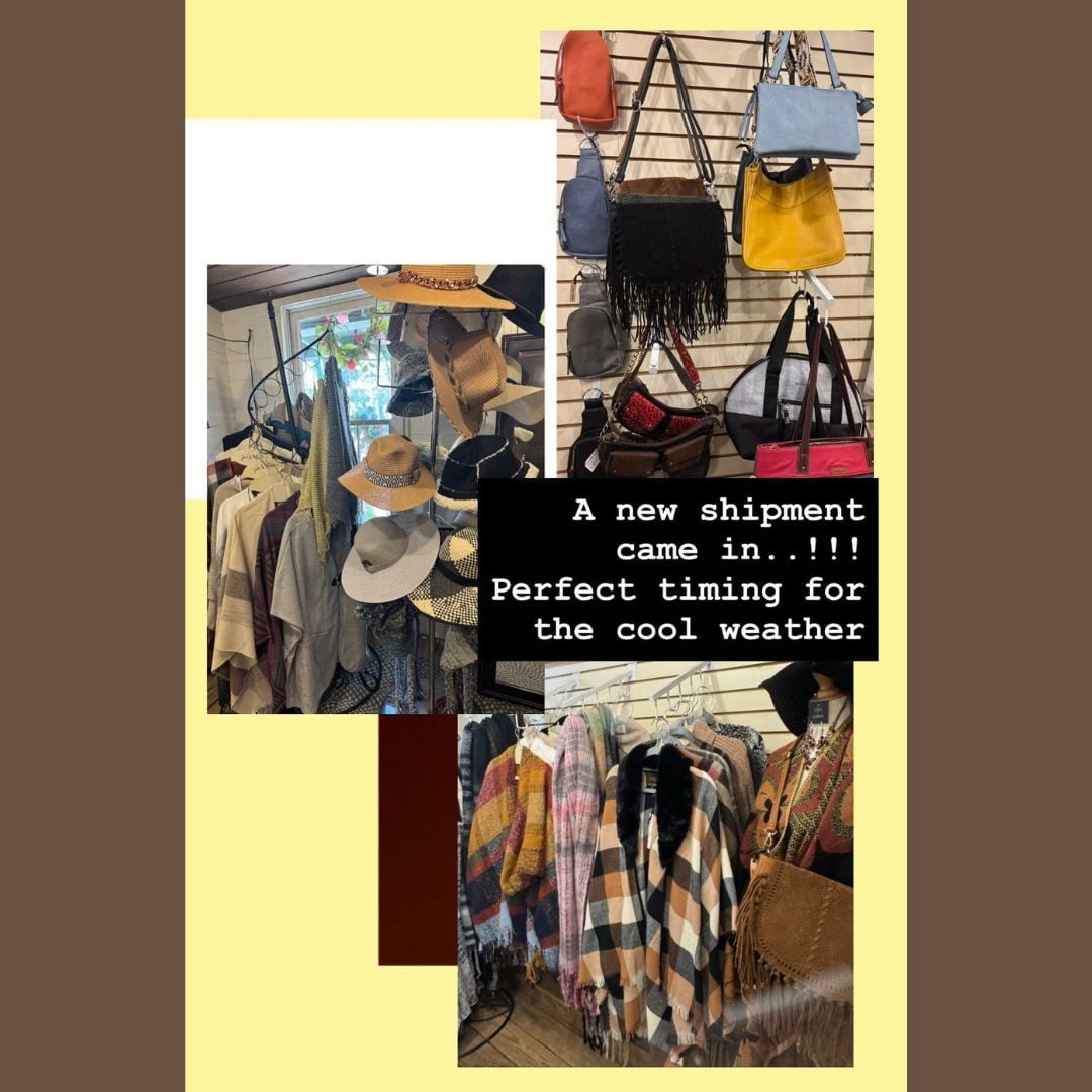 New Arrivals at Schoolhouse Earth! New Arrivals at Schoolhouse Earth (Deep Creek Lake, MD)