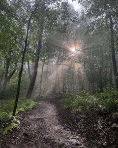 New Trails at Margraff Plantation (Socials)