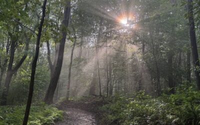 New Trails at Margraff Plantation