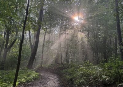 New Trails at Margraff Plantation