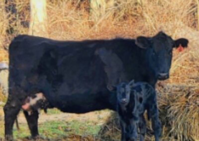 Nutrient Management Update