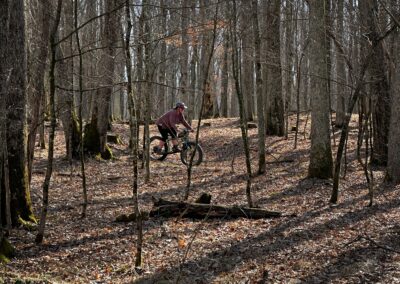 Wonder Women at Herrington Manor State Park