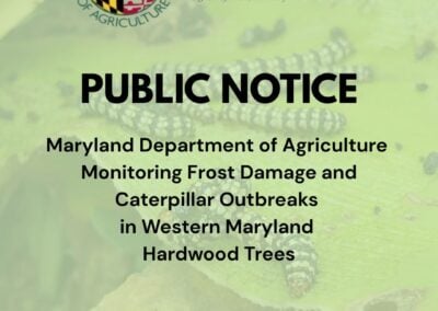 PUBLIC NOTICE: Maryland Department of Agriculture Monitoring Frost Damage and Caterpillar Outbreaks in Western Maryland Hardwood Trees
