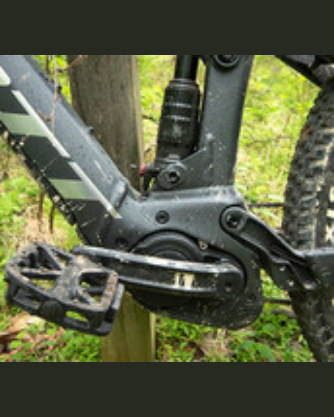 Pedals and Pines