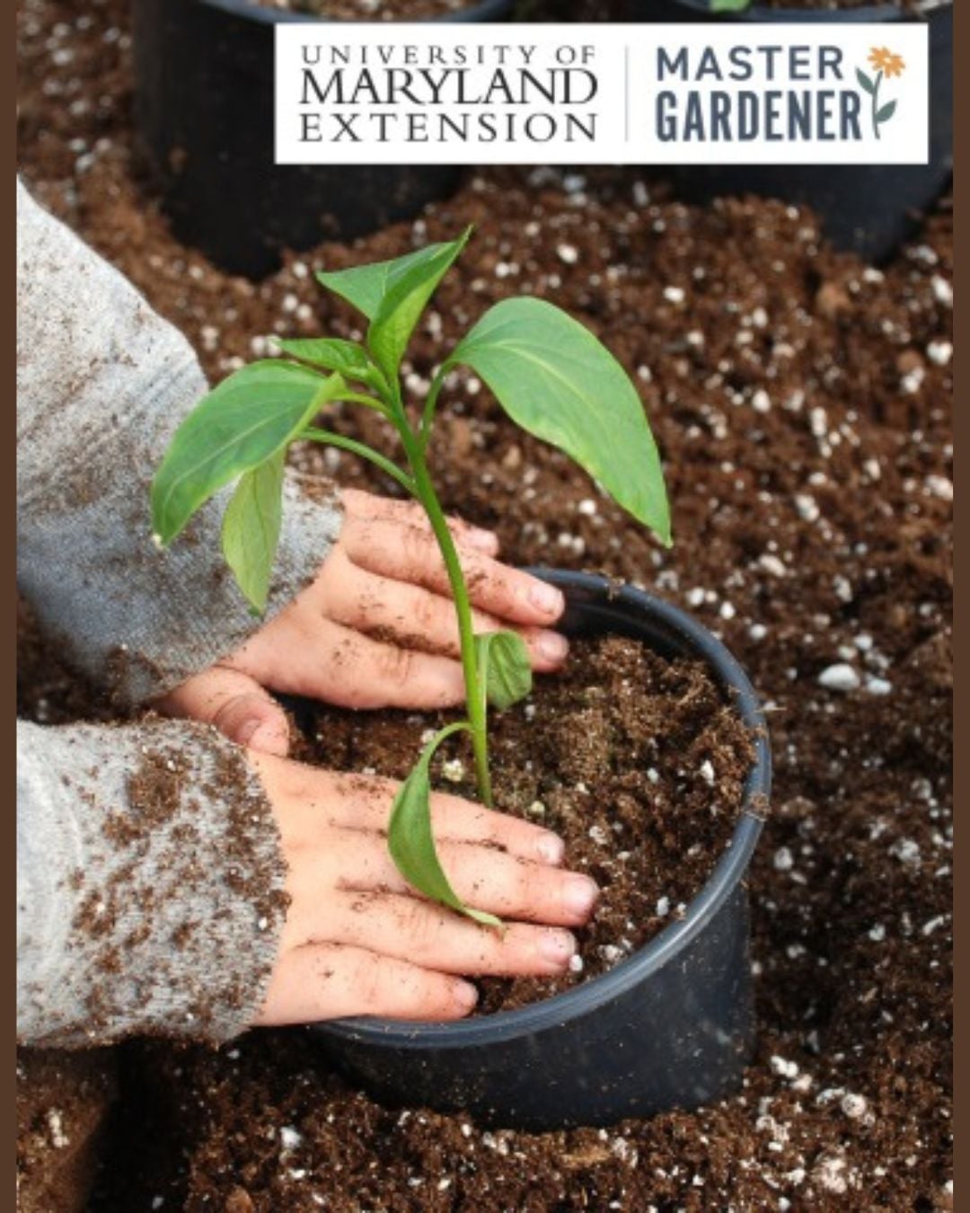 Plant, Play, Grow! Container Garden Academy