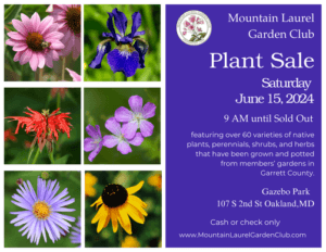 Plant Sale at Deep Creek Lake, MD