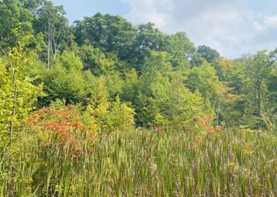 Board of Public Works Approves $1.66 Million for Recreation Upgrades in Four Maryland Counties