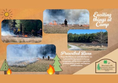 Prescribed Burns: A Powerful Tool for Healthy Ecosystems