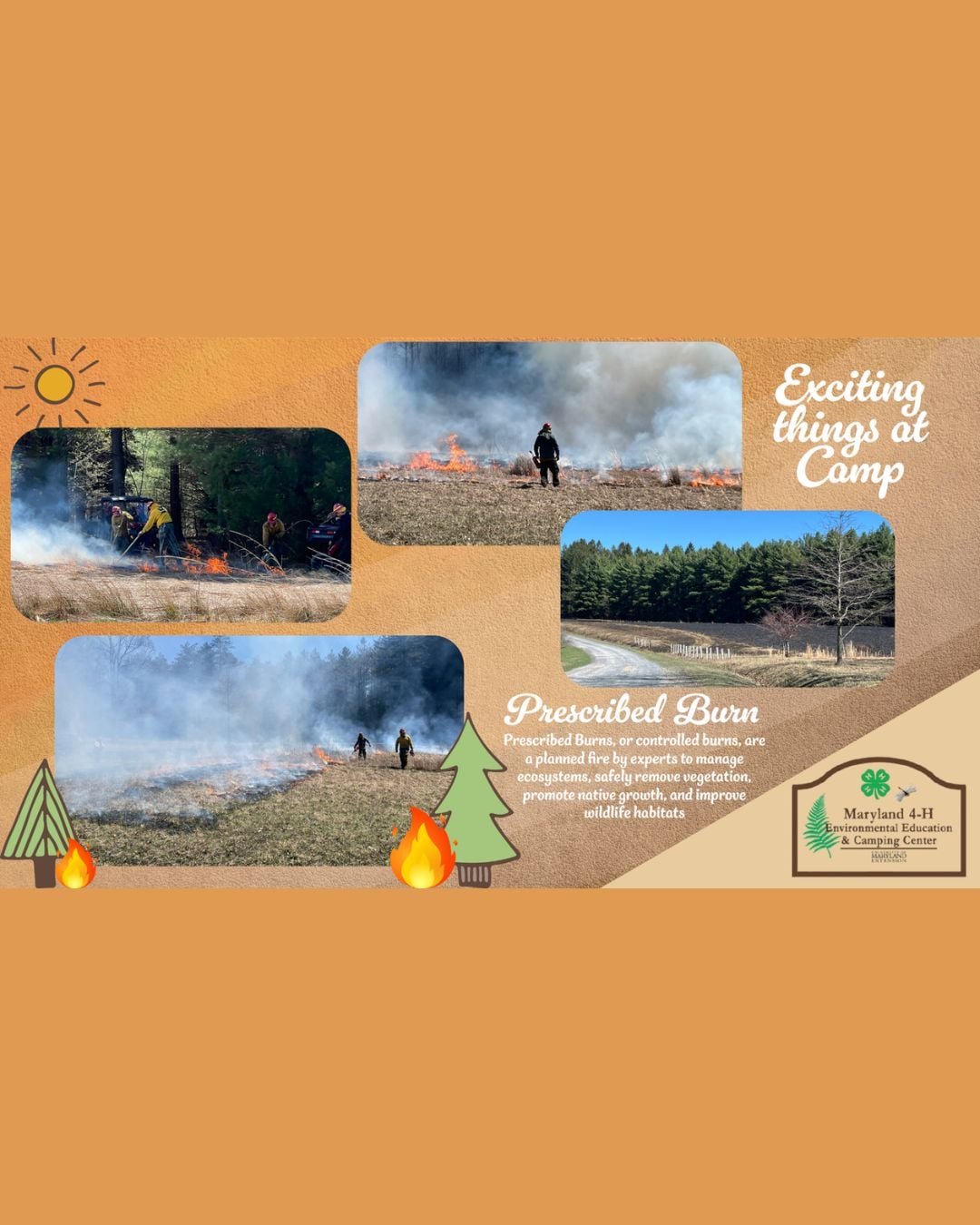 Prescribed Burns A Powerful Tool for Healthy Ecosystems