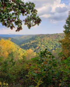 Public Comment Sought for 2027 Maryland State Forest Work Plans