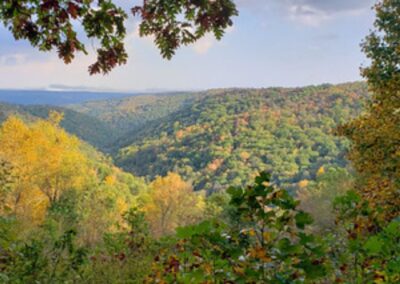 Public Comment Sought for 2027 Maryland State Forest Work Plans