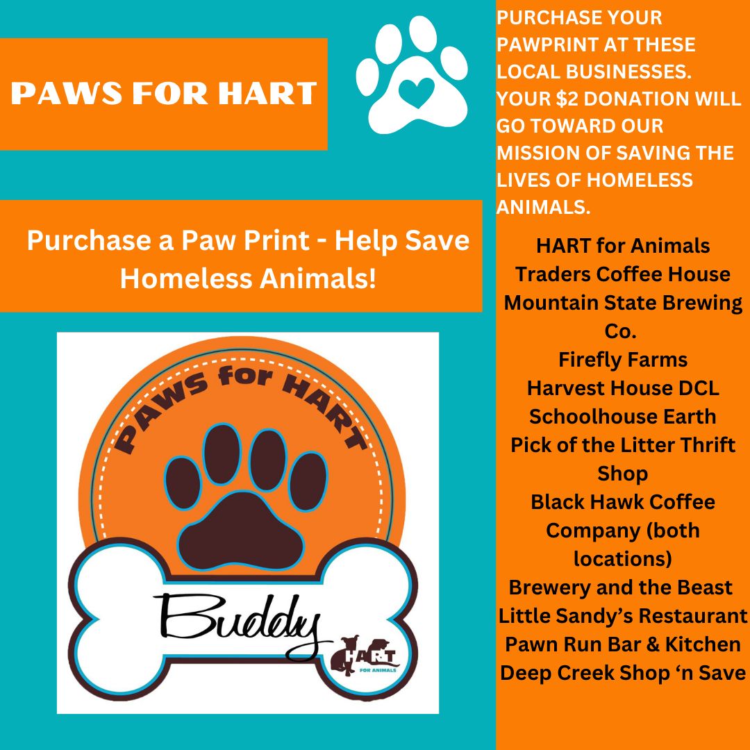 Purchase a Paw Print and Help Save a Homeless Pet’s Life! Purchase a Paw Print and Help Save a Homeless Pet's Life! (Deep Creek Lake, MD)